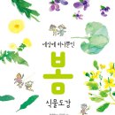 세상에 하나뿐인 봄 식물도감 / 한정영 (지은이),김윤정 (그림) / 북멘토(도서출판) 이미지