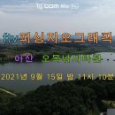 오목낚시터(신창낚시터) 이미지