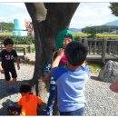 대지초등학교 이미지