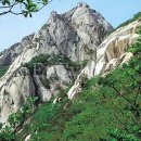 6559 Daum카페