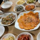 알파카월드 이미지