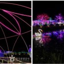 사구해수욕장1 이미지