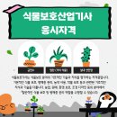 식물보호산업기사 응시자격과 취득 성공 비결