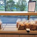 카페와이 이미지