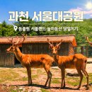 과천 서울대공원 동물원 서울랜드 서울근교 당일치기 여행 후기