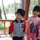 능교초등학교 이미지