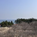 메이플비치골프앤리조트CC 네이버블로그