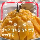 오렌지비디오 | 마곡 디저트 카페 추천! 생망고 빙수&오렌지 커피 후기