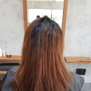 살롱드큐어