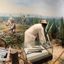 유아단체-함해나 할머니 이야기 이미지