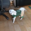 깔끔이세차장 이미지