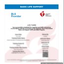 주식회사 하트세이버 | BLS provider 가격 신청방법 합격후기 (싸게 하는 법 알려드림)