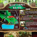 대구 법이산 봉수대 Daum카페
