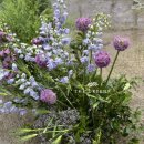 그린컴퍼니 이미지