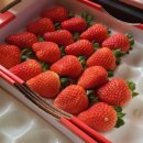 너래안농장 이미지