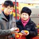 안의청과 이미지