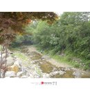 에코황토마을 이미지