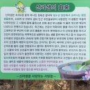 신라샘1 네이버블로그