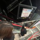 에그인형 놀기 이미지