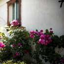 진주갤러리 이미지