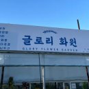 글로리화원