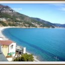 마레포스 이미지