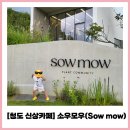 청도 신상카페 소우모우 대구근교 아기랑