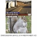 신궁마을회관 | 2024년 10월, 도쿄 및 도쿄 근방 축제 및 이벤트 총정리 2편!