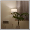 요가와 스트레칭 이미지