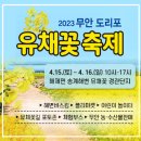 무안 가볼만한곳 | 무안 도리포 유채꽃축제 + 송계 어촌체험마을 + 도리포유원지 + 칠산대교(칠산타워)
