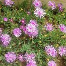 대구역광장 이미지