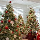 카페포레스트 이미지