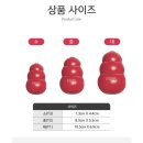 강아지 분리불안장난감 콩토이 🐶 사용후기 🐶