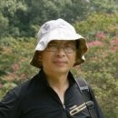 들꽃이야기 이미지