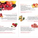 후레쉬팩토리 이미지