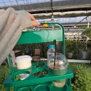 허브내음 | 자연 속 애견카페, 안산 허브타임 독타임 방문기/초록매실이의 선택