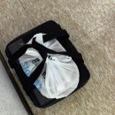 마포-현장-마포-1474 | 점심애 • 마포 도시락 맛집 | 상암동 도시락 | 도시락 정기배송