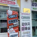 그루비멍 이미지