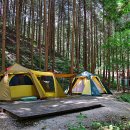 치유의 숲 야영장 이미지