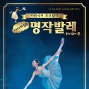 해설이 있는 발레이야기 이미지
