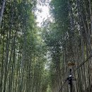 구례의길(섬진강길) 이미지