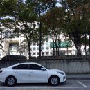 무교동낙지 앞 이미지