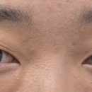 늘래쉬