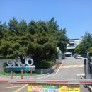 월명체육관 수영장 인근 | 고덕동 온조대왕문화체육관 수영장 자유수영 후기 시간, 주차 팁 정리