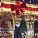 크리스마스 | 코엑스 별마당도서관 크리스마스 후기 | 겨울 인생 샷 찍기