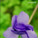 실로암 | 용인요양원 실로암요양원 따뜻한 돌봄의 시작