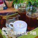 푸른창