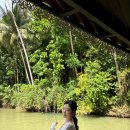 나비농장 | 보홀 육상 투어 :: 로복강 크루즈 뷔페 &amp; 나비농장 정원, 보홀 여행 필수 코스 내돈내산 찐후기 !