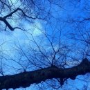 연리지민박 이미지