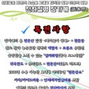 푸른항공여행사 이미지